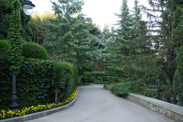 縁石の輪郭と一緒に黄色い花がうずくまっている公園の小道の近くに立っている植物の緑の芽に囲まれたランタンを持つ柱. — ストック写真