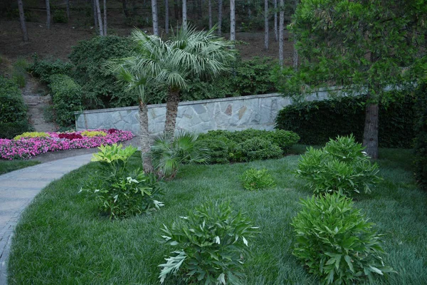 Tüm olası bitkiler bir fotoğrafta. Ön planda palmiyeler ve çalılar, arkadaki ağaçlar ve etrafta farklı çiçekler — Stok fotoğraf