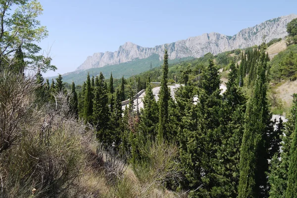 Die Straße windet sich vor dem Hintergrund der steilen Felsen, die von dichtem Wald umgeben sind — Stockfoto