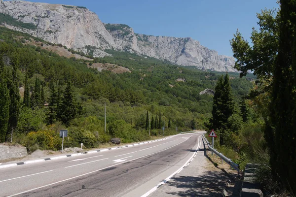 Длинная дорога на фоне огромных гор, окруженных деревьями — стоковое фото