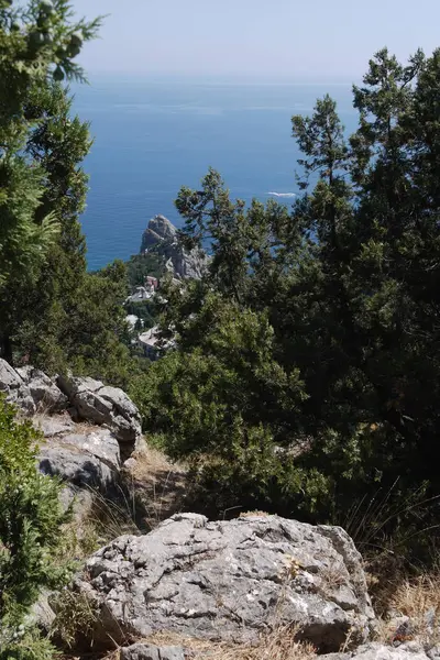 Небольшие зеленые деревья на фоне безграничного Черного моря и крутых скал — стоковое фото