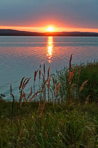 En liten gräsytor gräsmatta på bakgrunden av havet och en vacker häftig solnedgång — Stockfoto