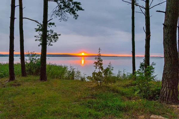 Ein kleiner grasbewachsener Rasen vor dem Hintergrund des Meeres und ein schöner heftiger Sonnenuntergang — Stockfoto