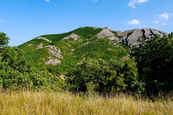 Arbustos verdes largos no fundo de montanhas cobertas de grama sob o céu azul — Fotografia de Stock