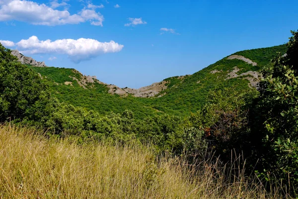 Breite grüne Büsche vor dem Hintergrund von grasbedeckten Bergen unter blauem Himmel — Stockfoto