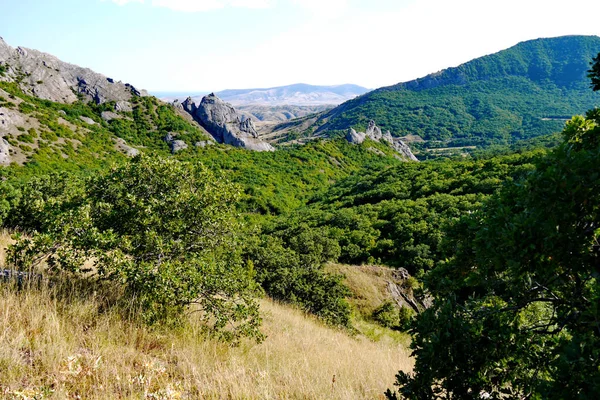 Encostas Gramíneas Íngremes Fundo Altas Montanhas Intermináveis Cobertas Árvores — Fotografia de Stock