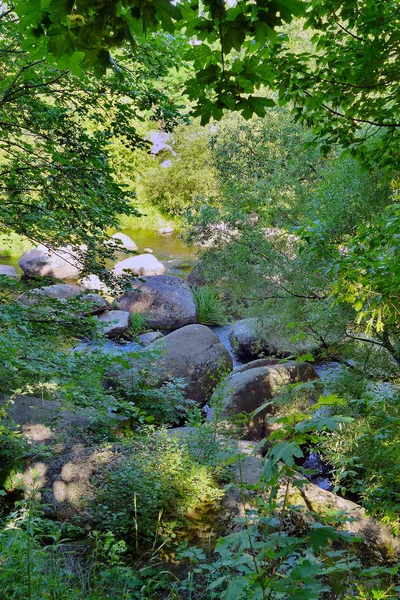Der breite felsige Fluss ist von üppigen Büschen und Bäumen umgeben — Stockfoto