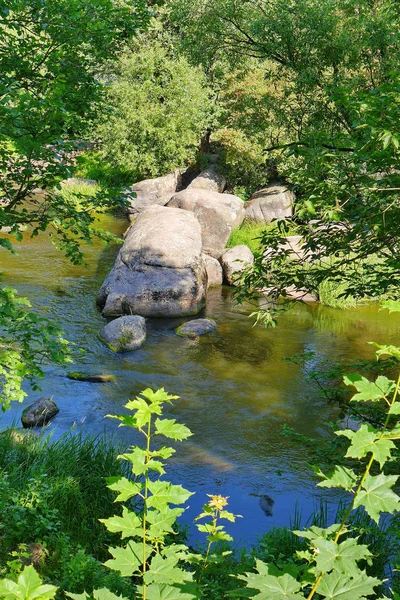 Der breite felsige Fluss ist von üppigen Büschen und Bäumen umgeben — Stockfoto
