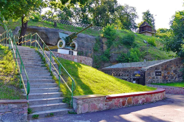 Museo al aire libre en el fondo de una pendiente cubierta de hierba y árboles altos — Foto de Stock