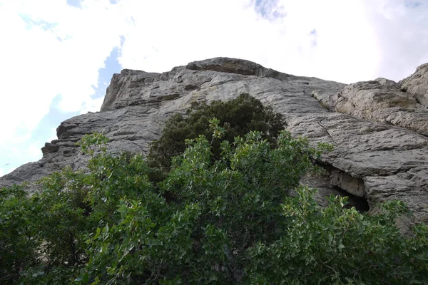 Gyönyörű zöld fák mellett meredek magas sziklák — Stock Fotó