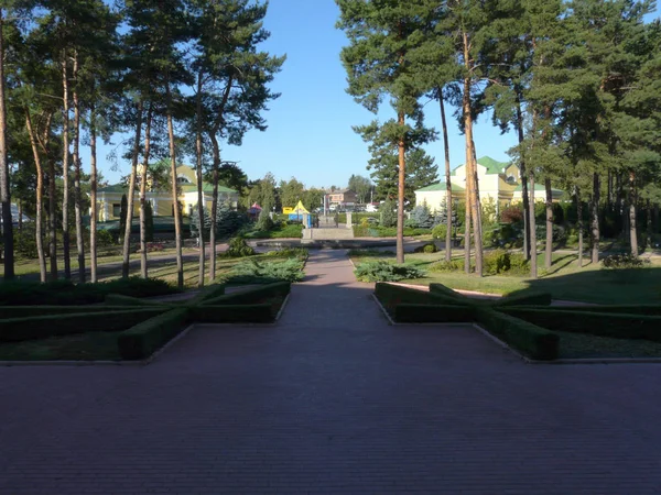 Die mit Fliesen gepflasterte Scherbe, die zum Eingang des grünen Parkgeländes führt — Stockfoto