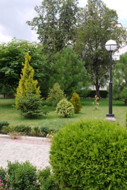 Fayans, dekoratif çiçek yatak, yemyeşil yeşil çalılar ve küçük çam ağaçları ile kaplı bir geniş park alanı