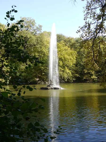 在最美丽的公园里, 一条独特的蛇喷泉高高地升起在水面之上。乌曼乌克兰 — 图库照片