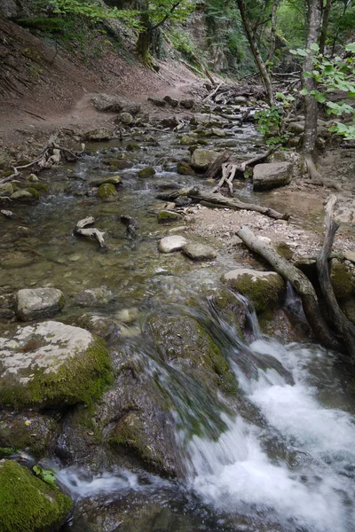 Ein flacher Bach mit klarem Wasser, das im Dickicht des Waldes zwischen mit Moos bewachsenen Steinen fließt. — Stockfoto