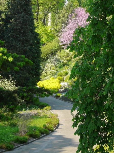 Parque paseo callejón sobre el fondo de coloridas plantas ornamentales y flores — Foto de Stock