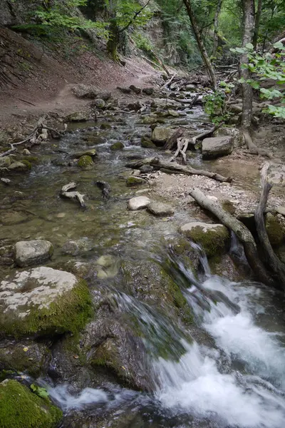 Die Waldquelle, in der viele Äste treiben, fällt in einen anderen Teich — Stockfoto