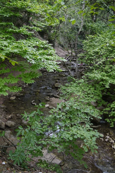 Ein kleiner, kunstvoller Gebirgsfluss, der durch ein Waldgebiet fließt — Stockfoto
