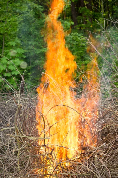 Luminosa hoguera grande mientras se quema un gran número de ramas de basura Imágenes de stock libres de derechos