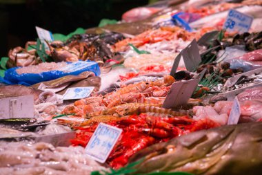 çeşitli lezzetleri deniz ürünleri.