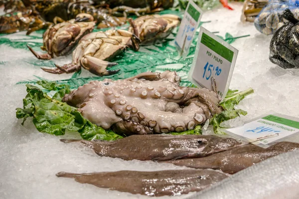 美食海鲜分类 — 图库照片