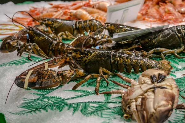 exotic seafood, lobster, crab, king prawns.