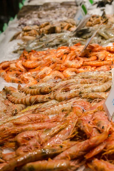 Fruits Mer Dans Assortiment Crevettes Royales — Photo