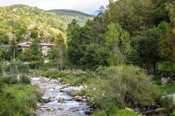 Красива Міцна Гірська Річка — стокове фото