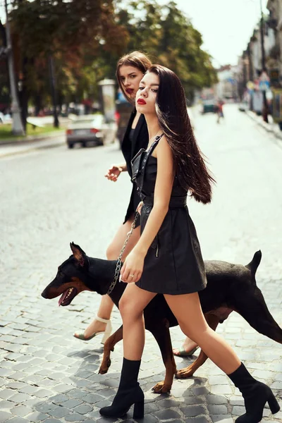 Two young fashion models with dog — Stock Photo, Image