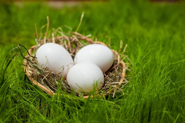 Tre Vita Påskägg Gräsmattan Det Gröna Gräset — Stockfoto