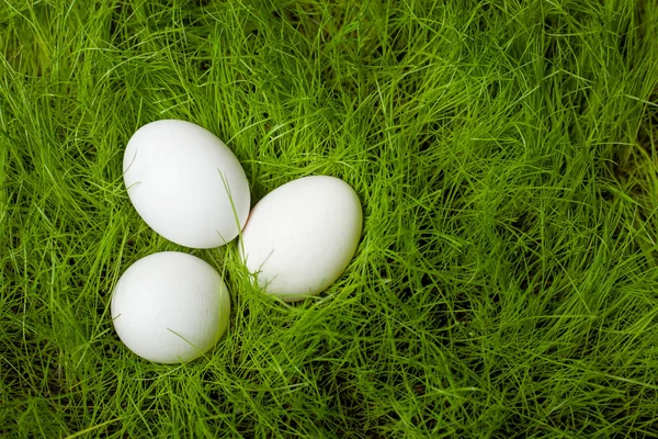Tre Vita Påskägg Gräsmattan Det Gröna Gräset — Stockfoto
