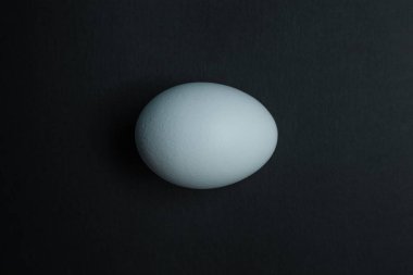 Beyaz tavuk yumurtası siyah arka planda izole edilmiş.