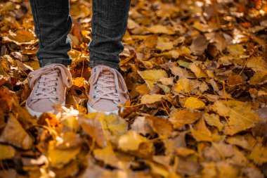 Kot pantolon ve pembe spor ayakkabılar parktaki düşmüş sarı yaprakların üzerinde..
