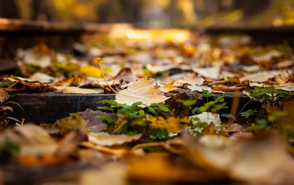 The fallen yellow sheet on the railway, covered with leaves