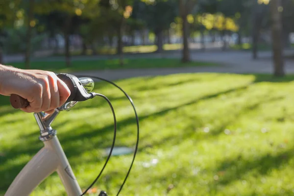 Das Mädchen Hält Das Rad Eines Beigefarbenen Fahrrads Park Zwischen — Stockfoto