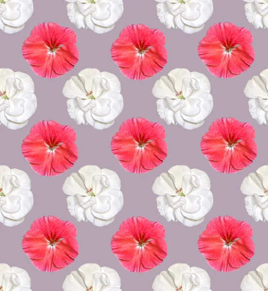 Nahtloses Muster Mit Weißen Und Rosa Geranienblüten Design Für Verpackungen — Stockfoto