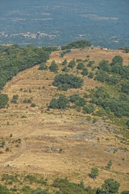 Optik sıkıştırmanın paralel düzlemlerde sıralanmış ağaçlarla geometrik desenler yarattığı karlı orman