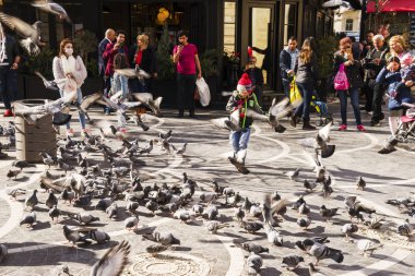 Bakı, Azerbayjan-03 Mayıs 2017: İnsanlar sokakta yerli güvercin besleme