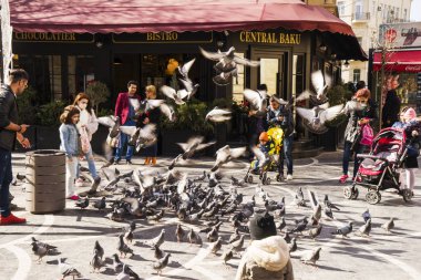 Bakı, Azerbayjan-03 Mayıs 2017: İnsanlar sokakta yerli güvercin besleme