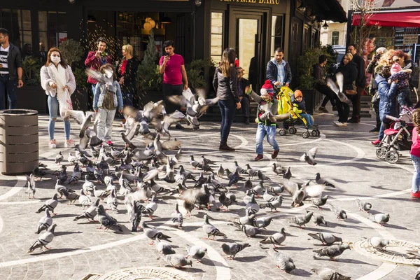 BAKU, AZERBAYJAN-03 MAYO 2017: Las personas alimentando a las palomas domésticas en la calle —  Fotos de Stock