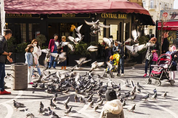 Bakı, Azerbayjan-03 Mayıs 2017: İnsanlar sokakta yerli güvercin besleme