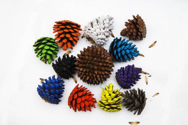 Set of colorful different Christmas cones isolated on white background, Christmas and New Year concepts