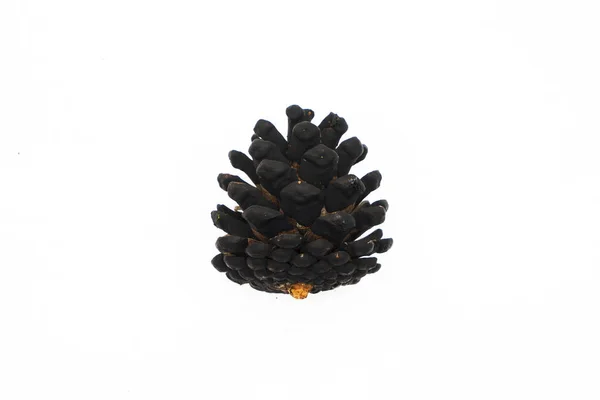 Black Christmas cones isolated on white background, Christmas and New Year concepts — 스톡 사진
