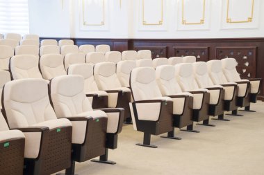 white leather chairs in the auditorium, conference room.