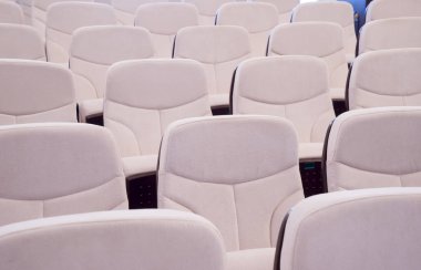 white leather chairs in the auditorium, conference room.