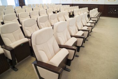 white leather chairs in the auditorium, conference room.
