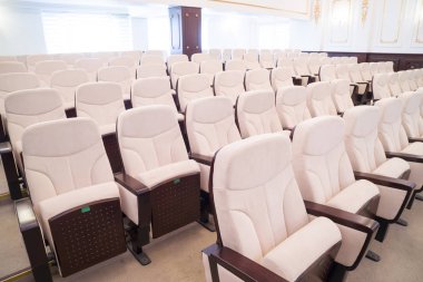 white leather chairs in the auditorium, conference room.