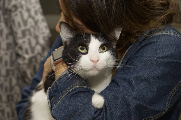 Close Mãos Mulher Segurando Pequeno Gatinho Listrado Com Olhos Verdes — Fotografia de Stock