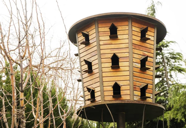 Traditional Wooden Dovecote Free Standing Dovecot Weathered Wood House Doves — 스톡 사진