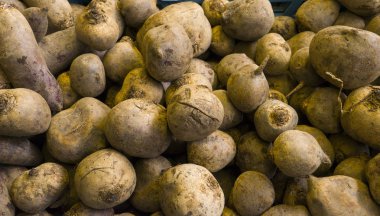 Yerel çiftçi pazarında organik kırmızı pancarlar sergileniyor, sağlıklı diyet. Organik gıda.