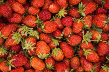 Pazar tezgahında satılık kırmızı olgun çilekler..